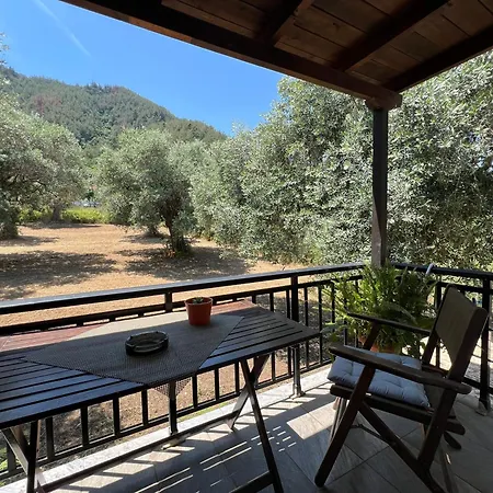 Apartmán Fedra